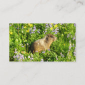 マーモットイン山レイニアワイルドフラワー 名刺 (裏面)