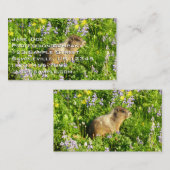 マーモットイン山レイニアワイルドフラワー 名刺 (正面/裏面)