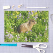 マーモットイン山レイニアワイルドフラワー 薄葉紙 (クラフト)