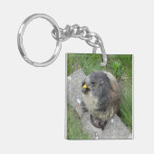 マーモットキーチェーン キーホルダー (正面左)