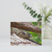 マーモットブラザーズLeavenworthワシントン ポストカード (スタンド正面)