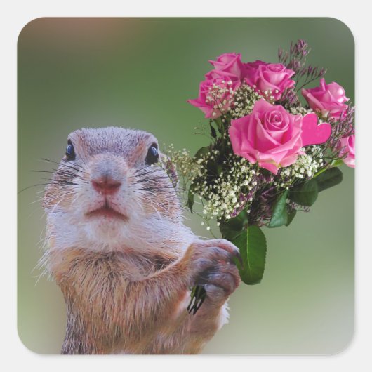 マーモットブーケ スクエアシール (正面)