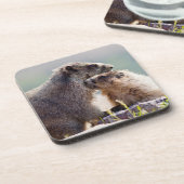 マーモットマザーベビー コースター (左側)