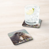 マーモットマザーベビー コースター (右側)