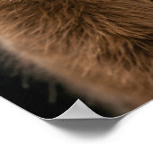 マーモットワイルドアニマルエレガントドラマティックミストポートレート ポスター (角)