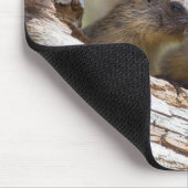 マーモット·ブラザーズ マウスパッド (コーナー)