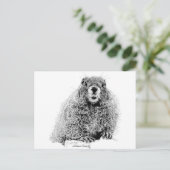 マーモット ポストカード (スタンド正面)