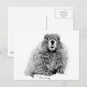 マーモット ポストカード (正面/裏面)