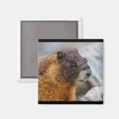 マーモト マグネット (正面/裏面)