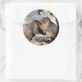 マーモト ラウンドシール (バッグ)