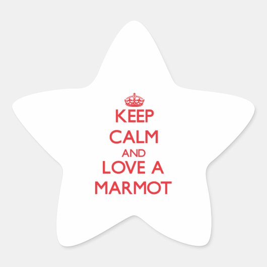 マーモト 星シール (正面)