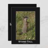 マーモートやる気を起こさせる招待状カード 招待状 (正面/裏面)