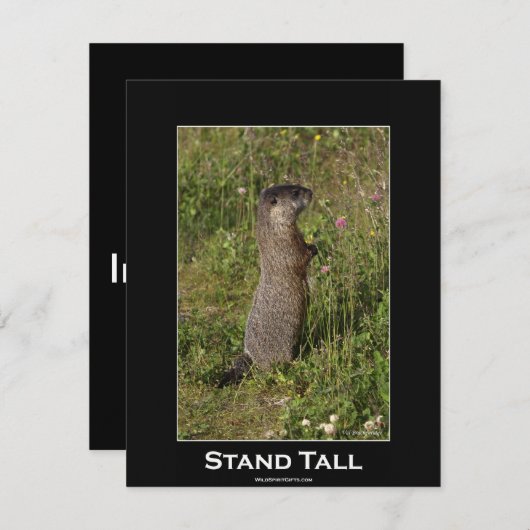 マーモートやる気を起こさせる招待状カード 招待状 (正面/裏面)