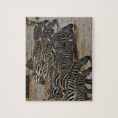マーラから飲むバーチェルのシマウマの群れ ジグソーパズル (縦)