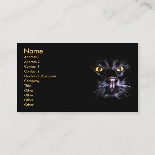 マーリンの監視名刺 名刺 (正面)