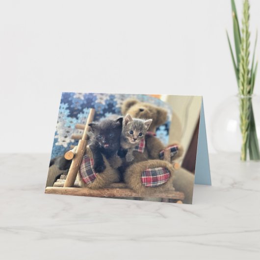 マーリン＆グィネヴィア - 猫/子猫の誕生日カード カード (正面)