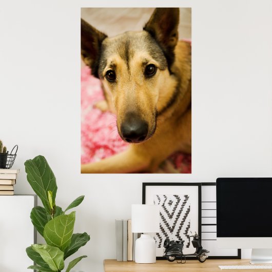 マーリーさくらんぼブロッサムペダル ポスター (ホームオフィス)