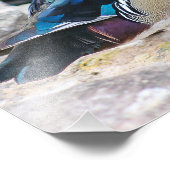 マールウッドダックスクエアプリント フォトプリント            (角)