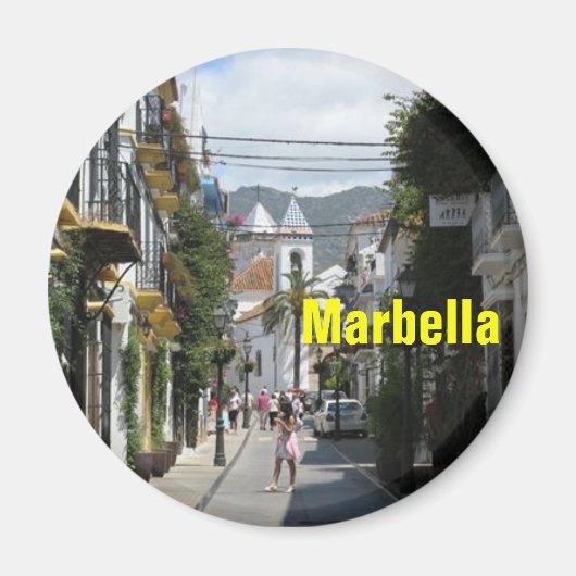 マールエラ磁石 マグネット (正面)