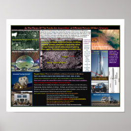 マールズフォレスト ポスター