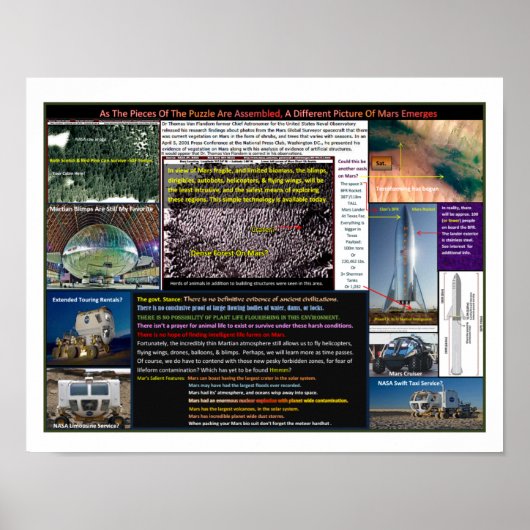 マールズフォレスト ポスター (正面)