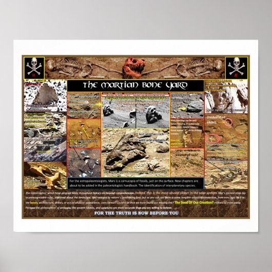 マールズボネヤード ポスター (正面)