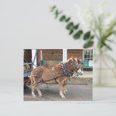 マールチーム, 1 ポストカード (スタンド正面)