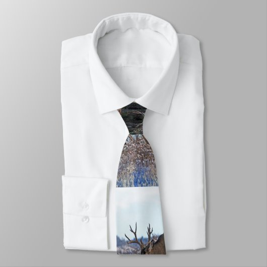 マールディアバックス2 ネクタイ (タイ)