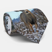 マールディアバックス2 ネクタイ (ロール)