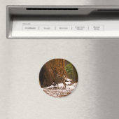 マールディアマグネット マグネット (インサイチュ (食洗機))