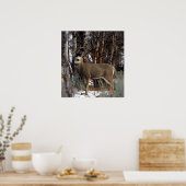 マールディア写真,4 ポスター (キッチン)