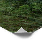 マールボロビーチメインのポスター ポスター (角)