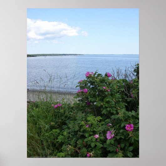 マールボロビーチメインのポスター ポスター (正面)