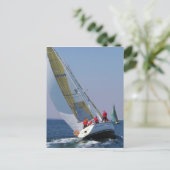 マール·メナーでのヨット·レース ポストカード (スタンド正面)