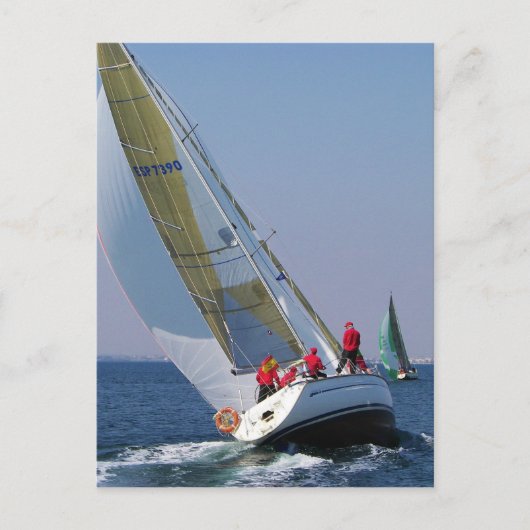 マール·メナーでのヨット·レース ポストカード (正面)