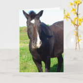 マーレおもしろい誕生日 カード (黄色い花)