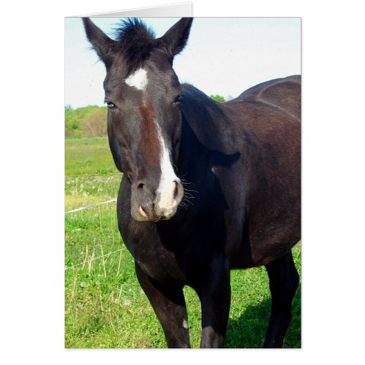 マーレおもしろい (正面)