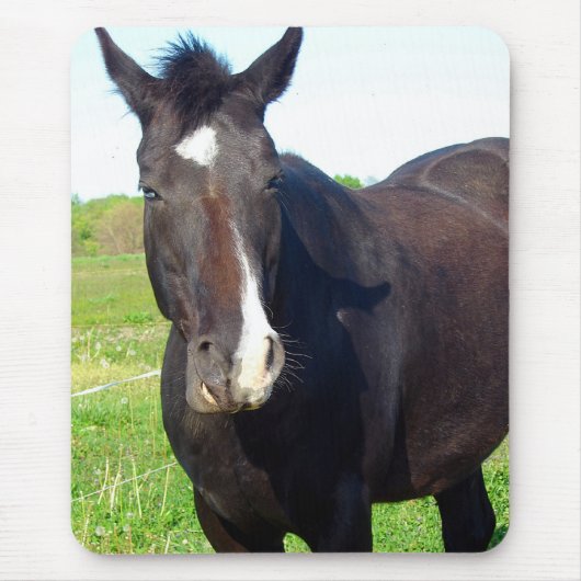 マーレおもしろい マウスパッド (正面)