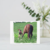 マーレで足を伸ばす ポストカード (スタンド正面)