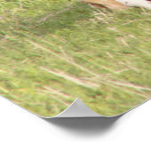 マーレとフォール ポスター (角)