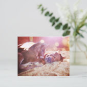 マーレとフォール ポストカード (スタンド正面)