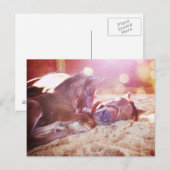 マーレとフォール ポストカード (正面/裏面)