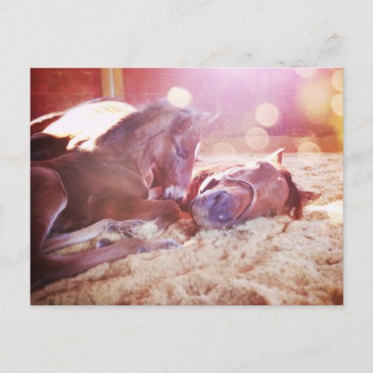 マーレとフォール ポストカード (正面)