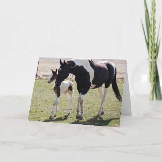 マーレアンドフィリー歩く カード (正面)