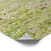 マーレアンドフィリー歩く ポスター (角)