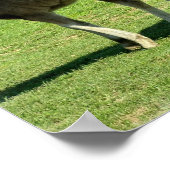 マーレアンドフォールポスタープリント ポスター (角)