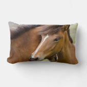 マーレアンド子馬 ランバークッション (正面)