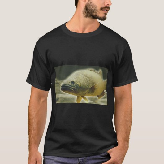 マーレイコッド Tシャツ (正面)