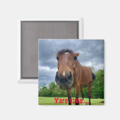 マーレスタリーマグネット マグネット (正面/裏面)