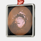 マーレボレウム火星 メタルオーナメント (左)